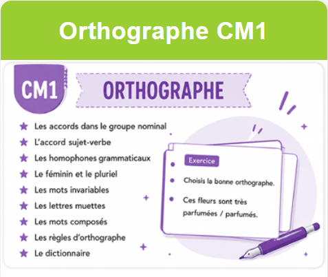 Aperçu Orthographe CM1