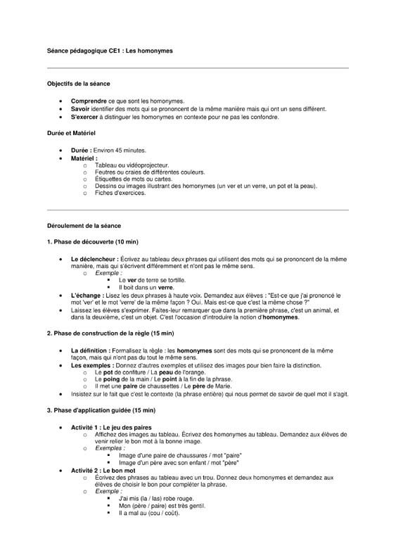 seance vocabulaire ce1 les homonymes