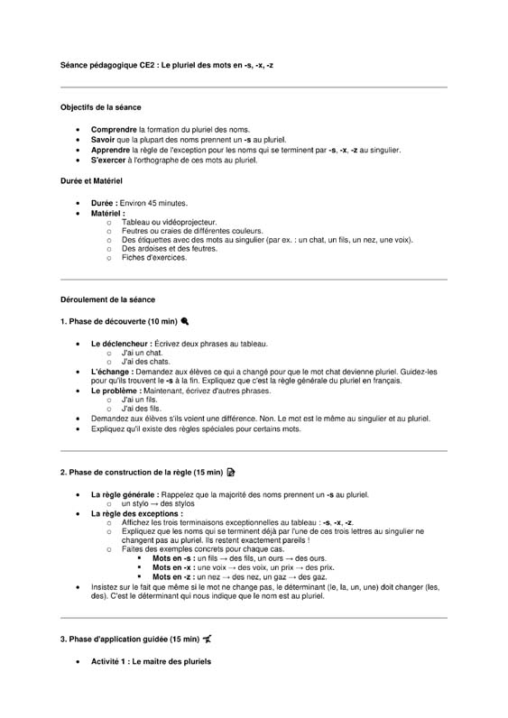seance ce2  pluriel des mots en s-z-x