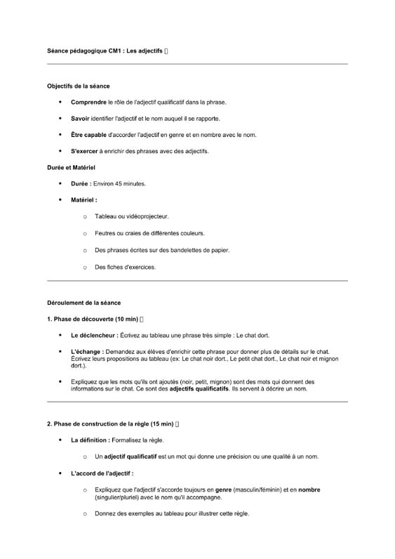 seance cm1 l'adjectif