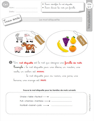 Aperçu fiche 1 : les mots génériques CE1